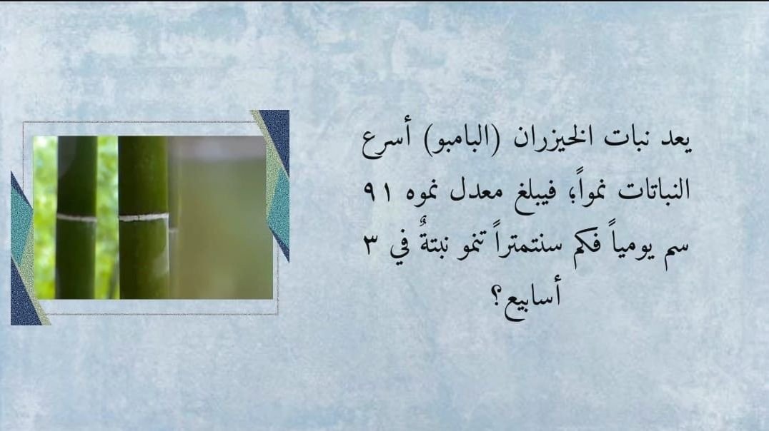 نافس - رياضيات - مهارة حل المسألة